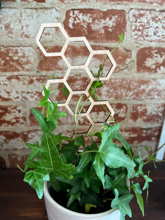 Hexagon Plant Trellis